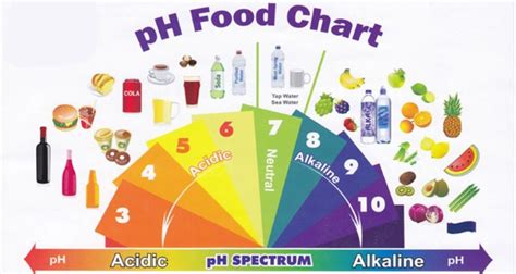 Acid foods are foods that contain enough acid to have a ph of 4.6 or lower. How Cancer Is Mainly Caused By The Intake of Acidic Food ...