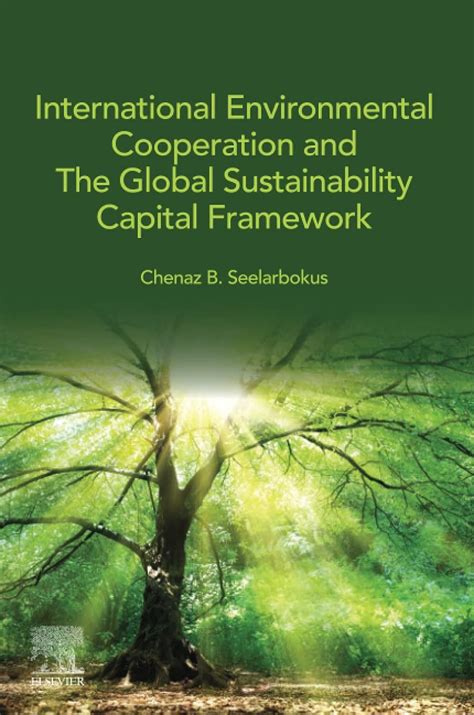 International Environmental Cooperation And The Global Sustainability