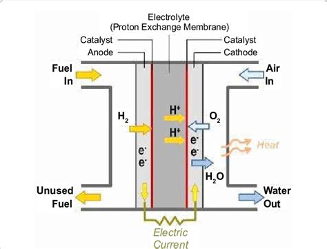 Proton Exchange Membrane Fuel Cell Diagram