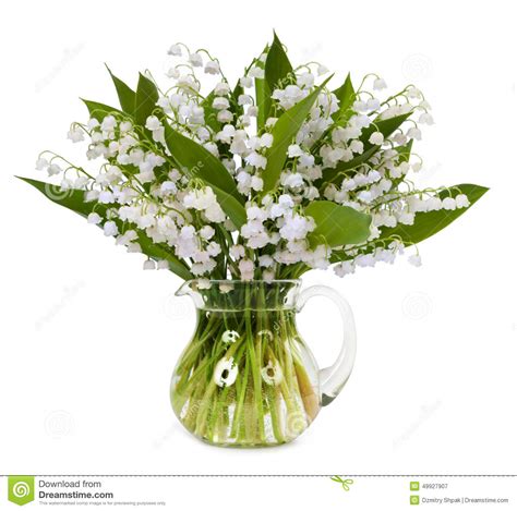 Ideal für jedes projekt das folgende tags benötigt: Blumenstrauß Von Den Maiglöckchen Lokalisiert Auf Weißem ...
