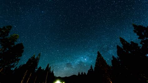 Starry Sky Night Stars Forest Nebula 4k 3840x2160 Wallpaper