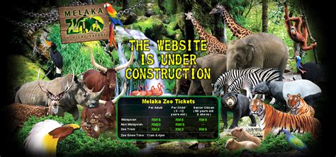 The construction of the theme park started in july 2009. This is Our Story: Zoo Melaka