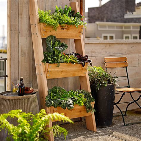 5 Vertical Vegetable Garden Ideas For Beginners Contemporist