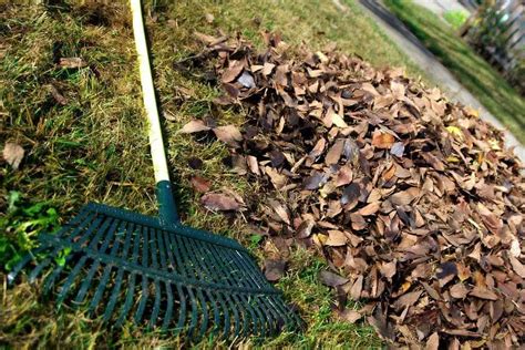 5 Best Landscape Rakes To Choose In 2023 And Why Do You Need It