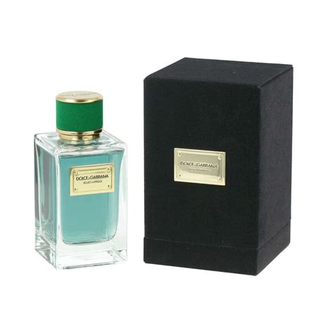 Dolce And Gabbana Velvet Cypress Eau De Parfum 150 Ml Parfuem365