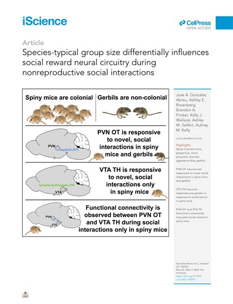 Pdf Species Typical Group Size Differentially Influences Reward But Not Social Neural