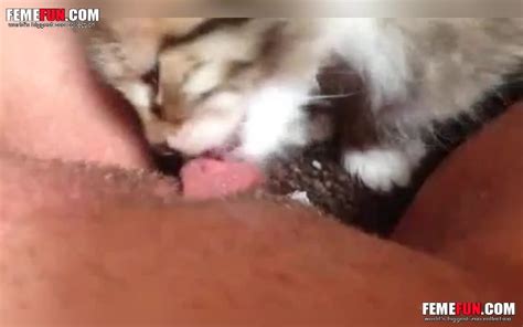 Inventive Mom Finds Way To Make Adorable Kitten Lick Her