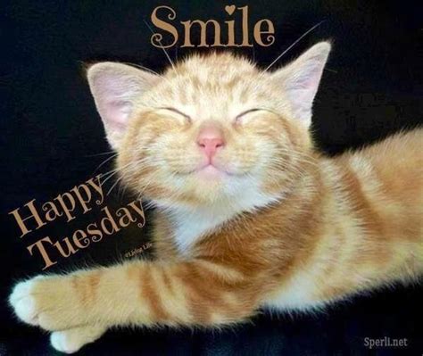 58 Best Tuesday Greetings Images On Pinterest Happy