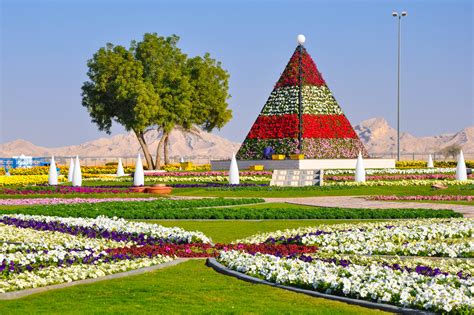 Flower Garden In Abu Dhabi | Best Flower Site