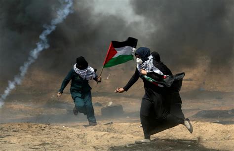 De birkenau à faixa de gaza, de paris ao líbano, resistir é ver, diz a berlinale virtual. Mais um palestiniano morto e dezenas feridos na Faixa de Gaza | TVI24