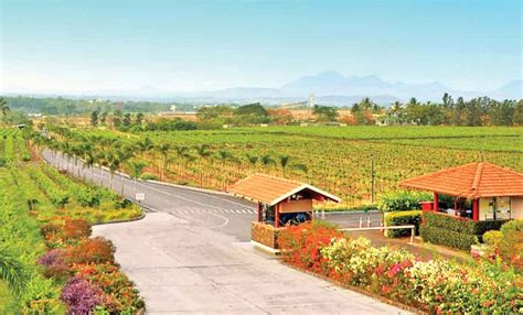 Top 5 Vineyards Across India Makemytrip Blog