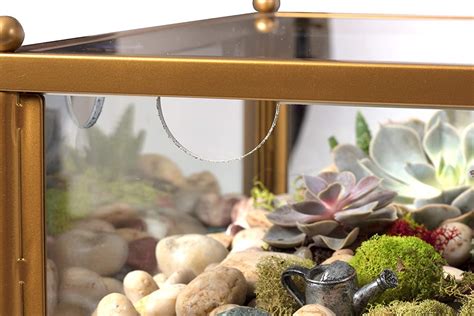 Great mother's day, housewarming and holiday gift! Product Of The Week: A Side Table With Built-in Terrarium ...