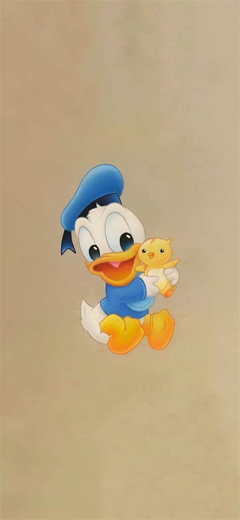 Cute Donald Duck Wallpaper Ixpap