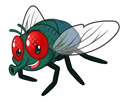 Cute Fly Clipart 10 Free Cliparts Download Images On Clipground 2024