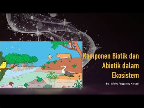 Daftar Faktor Biotik Dan Abiotik Dalam Ekosistem Hutan Ilmu 2024