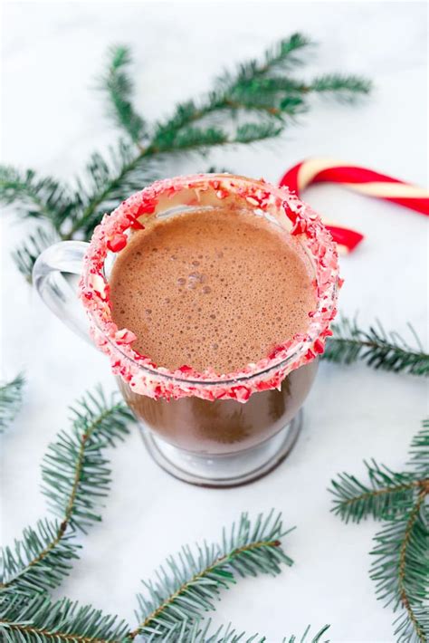 Homemade Peppermint Hot Cocoa Recipe Happy Healthy Mama