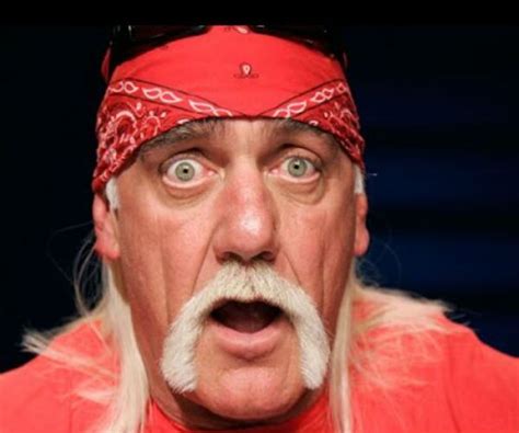 Hulk Hogan Awarded Staggering 115 Million In Gawker Sex Tape Lawsuit