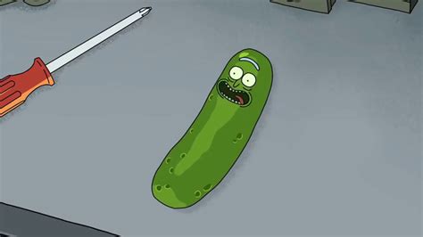 Pickle Rick Know Your Meme