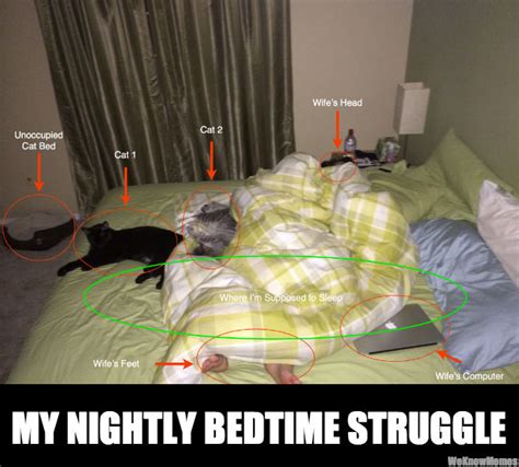Funny Bedtime Memes