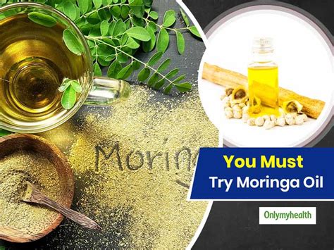 Moringa Oil One Oil With Innumerable Health Benefits Onlymyhealth