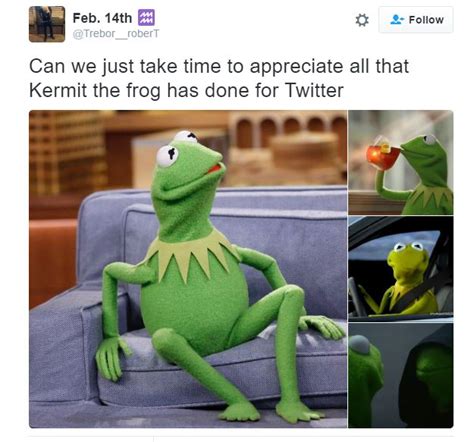 Treborrobert Offers An Appreciation Of Kermit The Frog And His Memes Made Popular On Twitter