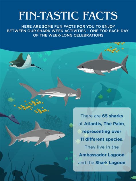 6 Jaw Some Atlantis Shark Week Facts Atlantis The Palm