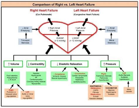 Right Vs Left Heart Failure Heart Failure Pinterest Heart Failure