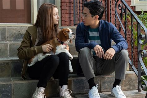 Películas vistas en 2019 (608 movies items). Imagini A Dog's Journey (2019) - Imagini Câinele ...