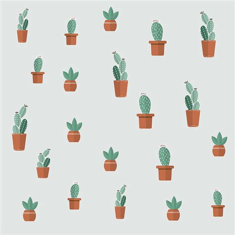 Cactus Plants Pot Abstract Hd Phone Wallpaper Peakpx