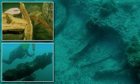 Discover The Ancient Underwater Forest In The Gulf Of Mexico