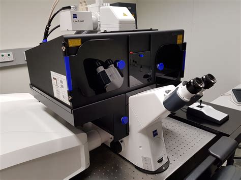 Zeiss 880 Confocal Microscope Micropedia