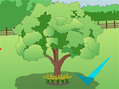 We did not find results for: How to Choose Where to Plant Trees: 6 Steps (with Pictures)