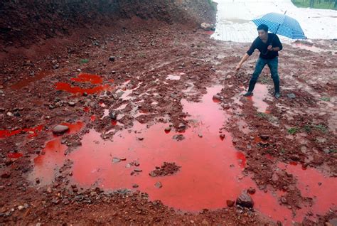 13 striking photos that show how polluted China's water has become - Business Insider
