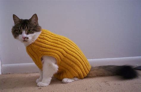 Cats Love Sweaters Cat Sweater Pattern Cat Sweater Knitting Pattern