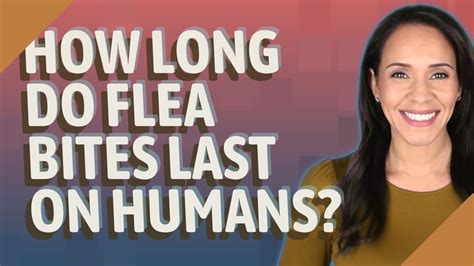 How Long Do Flea Bites Last On Humans Youtube