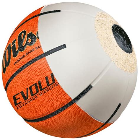 Wilson Evolution Basketball Buy At Sport