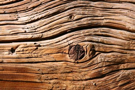 Close Up Old Wooden Texture Stock Photo Image Of Macro Texture 3304382