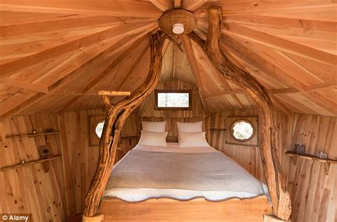 The Worlds Most Amazing Treehouses From Chile To Japan