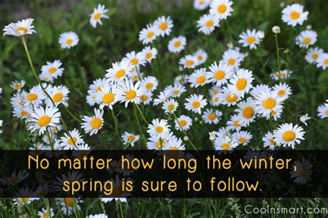 Ok, no problem this article is perfect for you. Spring Season Quotes. QuotesGram