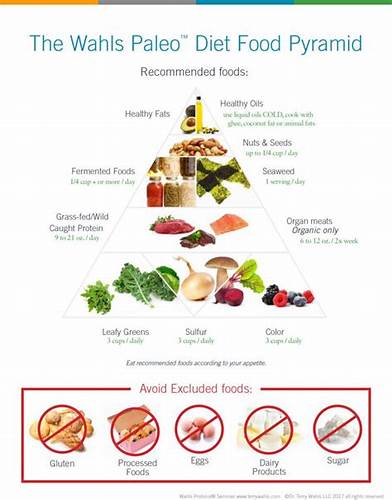 Рассеянный склероз диета Аутоиммунный протокол палео диета рассеянный склероз - фото презентация Аутоиммунный протокол палео диета рассеянный склероз - фото презентация Рассеянный склероз диета