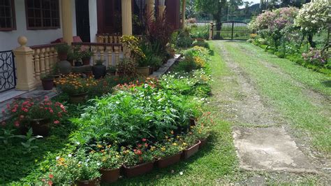 Rumah gadang minangkabau in west sumatra. Cara Membuat Landskap Halaman Rumah Kampung | Destaman