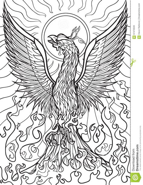 Use your artistic skills to bring these coloring pages to life. Phoenix Stock Vector - Image: 67470533