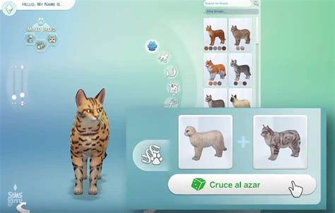 Cruce De Razas En Los Sims 4 Perros Y Gatos Simsguru