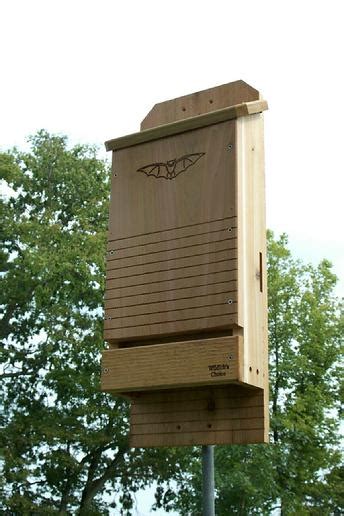 Bat Houses And Placement Strategies — The Wood Thrush Shop