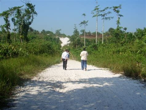 Walking Along The Beautiful Scenery Of Kuru Kururu Deaf Guyana Off