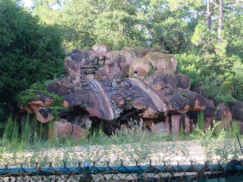 Disneys River Country The Former Abandoned Disney Water Park