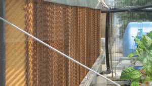 Along with the power of extending the growth season of your favorite plants, a greenhouse can provide a relaxing place to visit to get lost in your thoughts. Speak Your Greenhouse Plants' Language - Growing Produce