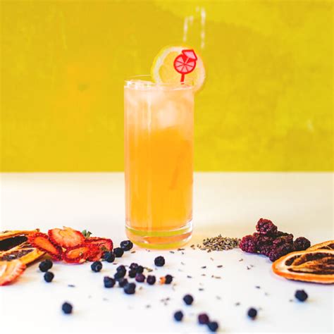 Berry Lavender Lemonade Alcohol Infusion Kit Inbooze