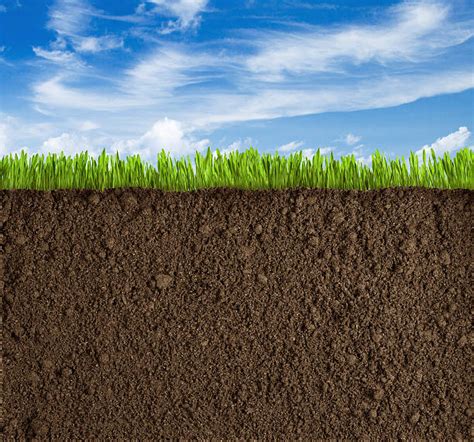 324000 Grass Dirt Stock Photos Pictures And Royalty Free Images Istock