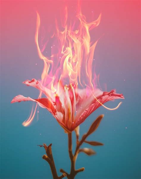 Surreal Art Fire Flower Poster Print Home Decor Wall Art Etsy Fire